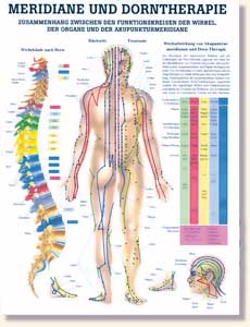 Lehrtafel MERIDIANE UND DORNTHERAPIE