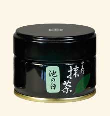 Matcha IKENO SHIRO