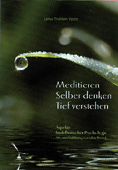Yeshe, Meditieren. Selber denken. Tief verstehen